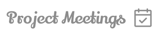project meetings
